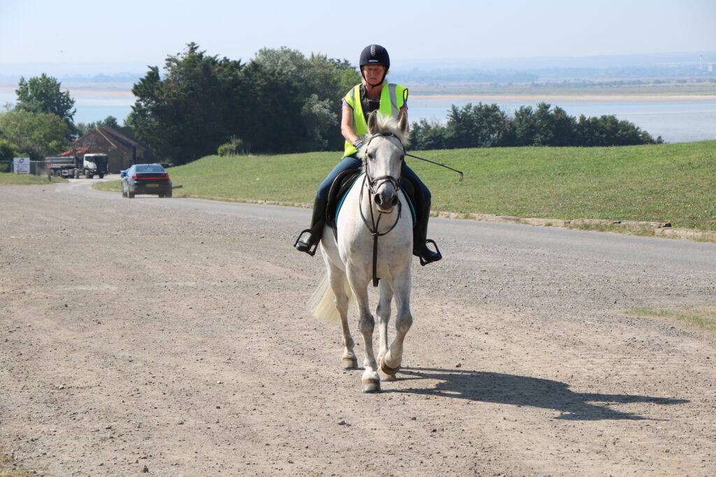 Horse and rider; Pegwell Bay trip; July 2024; Matt